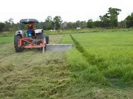 pangtractor