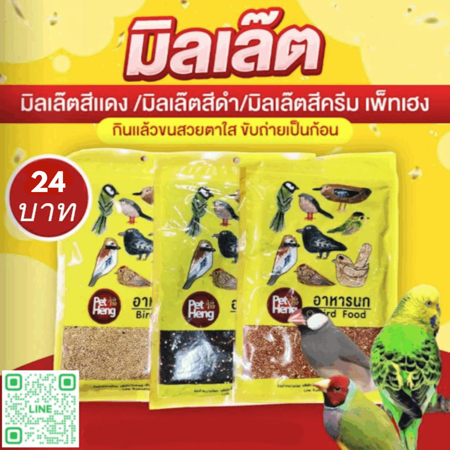 พบคำแนะนำในการเลือกกรงนกที่สมบูรณ์แบบ 7 PRO Pet Heng Bird Food - อาหารนก มิลเล็ตดำ (6296)