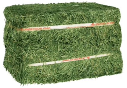 Timothy Hay Bale