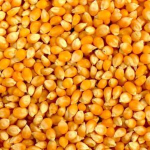 ข้าวโพดเม็ด U.LEK Corn Kernel - ข้าวโพดเม็ด ตรามือ 1kg (10196)