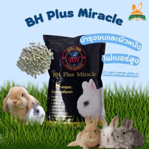 16667881935026 BH Plus Miracle Rabbit Food - อาหารสำหรับกระต่าย เกรดพรีเมี่ยม สูตรไฟเบอร์สูง 800g (8810)