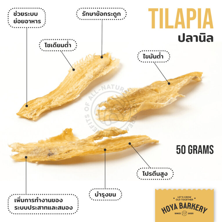 Hoya Barkery Tilapia Fillet