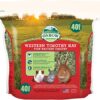 81Rvh_kGXuL__AC_SY450_ Oxbow Western Timothy Hay 40oz - หญ้าทิโมธีเกรดพรีเมี่ยม นำเข้าจากประเทศสหรัฐอเมริกา 40 ออนซ์ (9053)