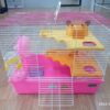 50% กระดิ่งสี ขนาดเล็ก (009016)
