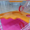 50% กระดิ่งสี ขนาดเล็ก (009016)