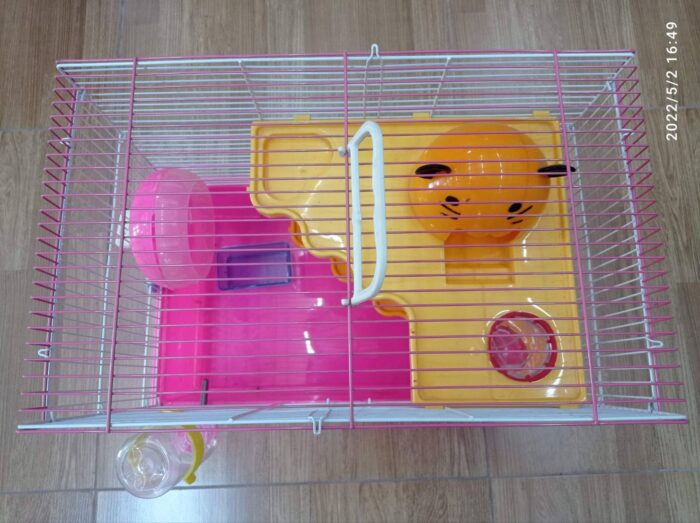 50% กระดิ่งสี ขนาดเล็ก (009016)