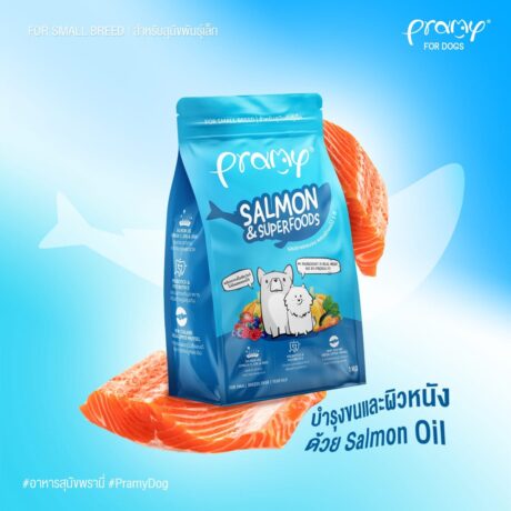 พบคำแนะนำในการเลือกกรงนกที่สมบูรณ์แบบ 8 Pramy Dog Food Salmon & Superfoods - อาหารสุนัขพันธุ์เล็ก รสแซลมอน 1kg (4648)