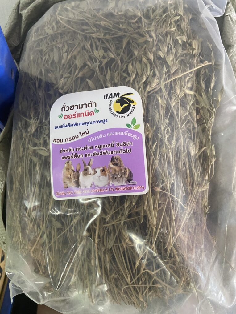 Hamata Grass - หญ้าถั่วฮามาต้า