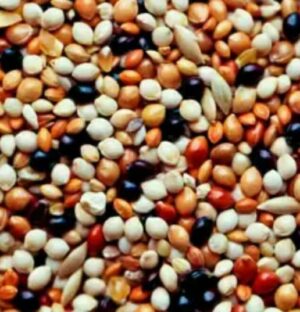 1 Bird Food - อาหารนก เขาเล็ก 5kg (แบ่งขาย) (11200)