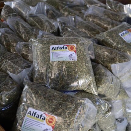 469110794_541500591987665_5257677058370404765_n Alfalfa Chopped and Dusted - อัลฟาฟ่าสับ ร่อนฝุ่น 500g (11134)