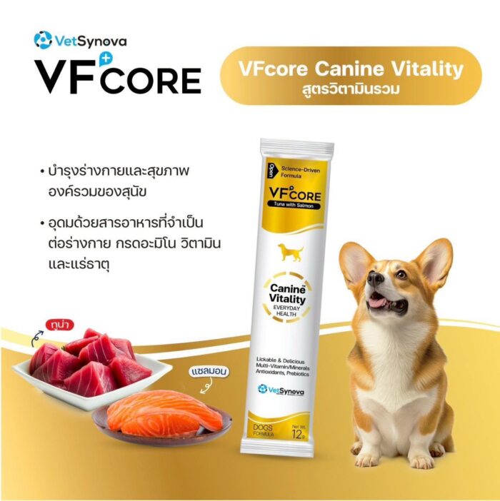 623773460_886515964083785_9021503598127135384_n VFCORE+ Canine Vitality - อาหารสูตรวิตามินรวมสำหรับน้องหมา 12g (257299)