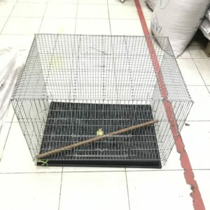 BA179AB0-15D4-4A35-AE14-2DB5E53E85C4 KIAO Bird Cage - กรงหมอนเล็ก (46x36x40cm) (11109)