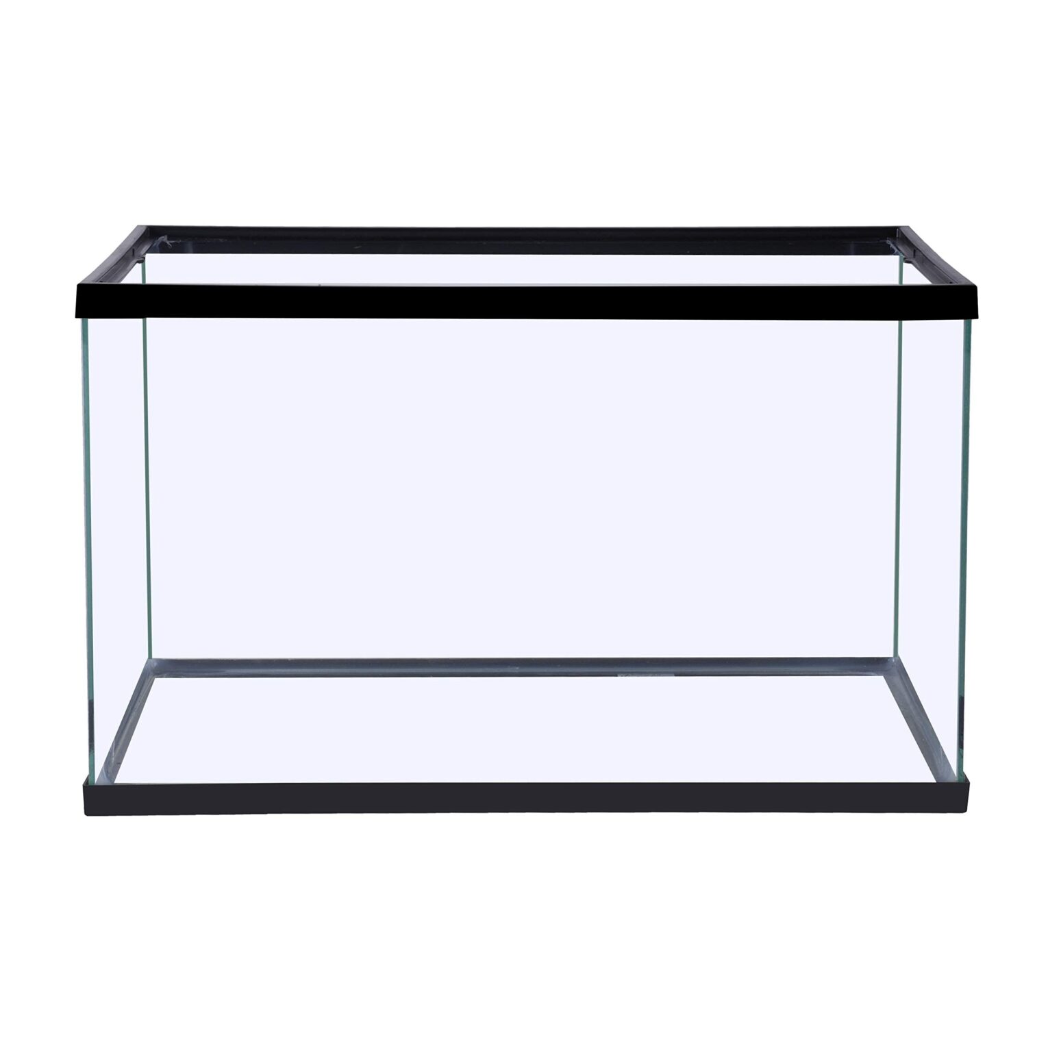 พบคำแนะนำในการเลือกกรงนกที่สมบูรณ์แบบ 7 Glass Tank