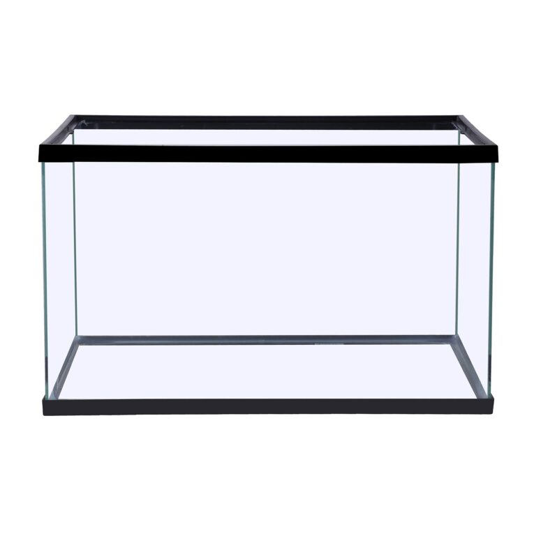 Glass Tank