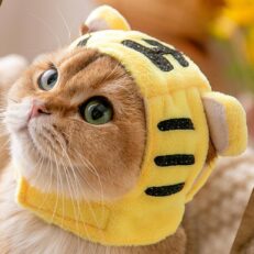 Pet Head Covering S - หมวกคลุมหัวสำหรับสัตว์เลี้ยง ขนาดเล็ก (รอบศรีษะ 25-30 ซม. น้ำหนัก1.75-2.5 กก.) (10088)