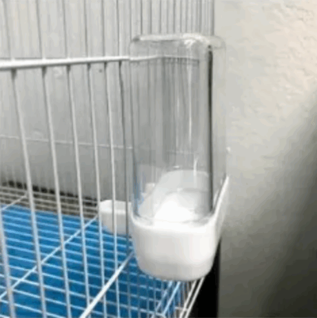 Bird Automatic Water Dispensor - ที่ให้น้ำอัตโนมัติสำหรับนก (4x8x10cm)