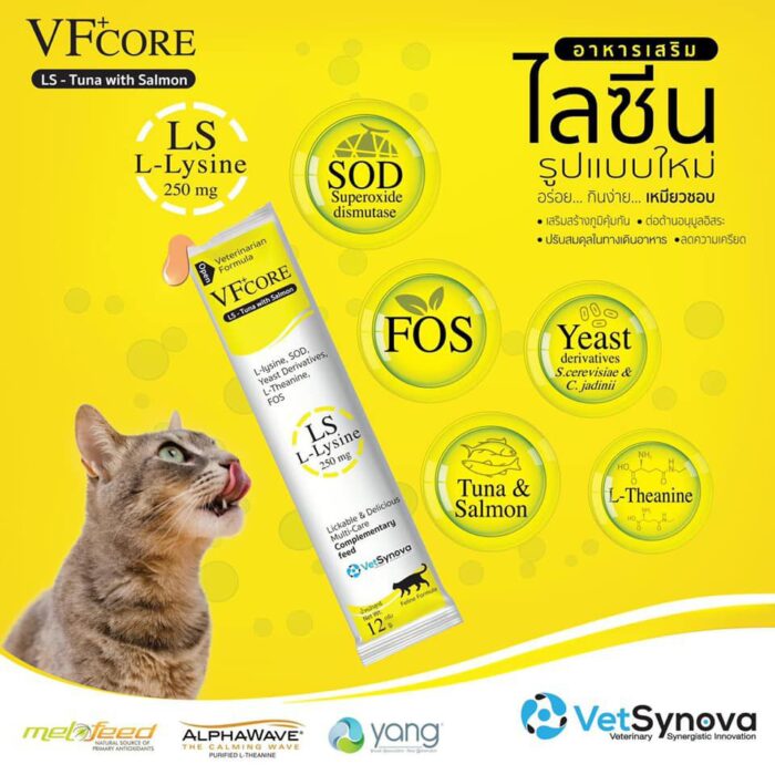 VFCORE+ Lysine Tuna With Salmon - อาหารเสริมภูมิคุ้มกันรสทูน่าและแซลมอน 25g (10051)