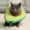 admin-ajax Pet Soft Collar Size M - คอลล่าร์กันเลียแผลแบบผ้านุ่มไซส์ M (16x28x8cm) (484684)
