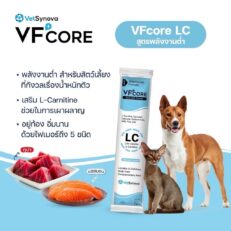 VFCORE+ L-Carnitine - อาหารเสริมพลังงานต่ำ สำหรับสัตว์เลี้ยงควบคุมน้ำหนัก 12g (10719)