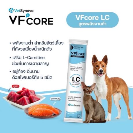 VFCORE+ L-Carnitine - อาหารเสริมพลังงานต่ำ สำหรับสัตว์เลี้ยงควบคุมน้ำหนัก 12g (10719)