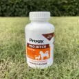 Progy Pro-Bitch