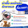 microcynah_eye_wash