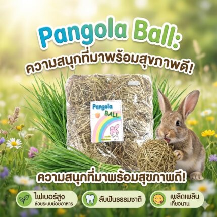 แพงโกล่า 11044 Pangola Ball - แพงโกล่าบอลเเพ็ค 6 ลูก