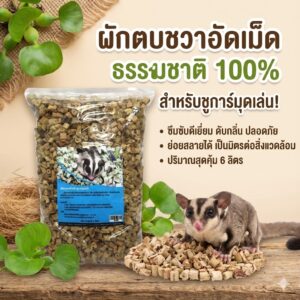 ผักตบชวา ผักตบชวา