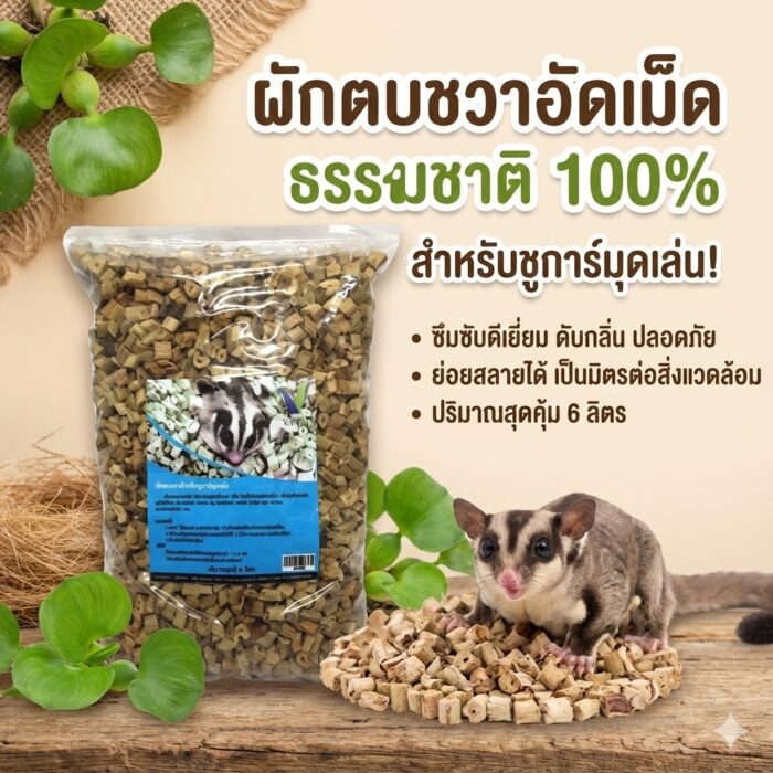 ผักตบชวา ผักตบชวา