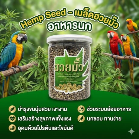 Hemp Seed - อาหารนก เมล็ดฮวยมั๊ว กระปุก 250g