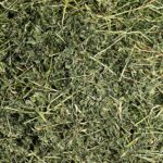 Alfalfa Anderson Hay NS - หญ้าอัลฟาฟ่า 3kg (แบ่งขาย)