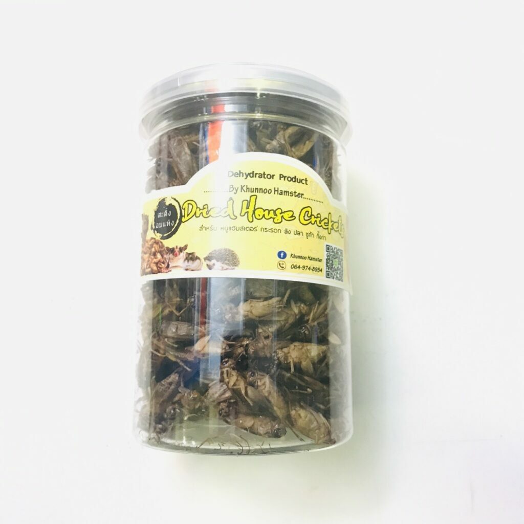พบคำแนะนำในการเลือกกรงนกที่สมบูรณ์แบบ 10 Dehydrator Dried House Crickets - สะดิ้งอบแห้ง 80g (12211)