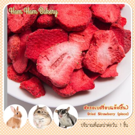 Ham Ham bakery Dried Strawberry - ขนมสัตว์เลี้ยง สตรอว์เบอร์รี่อบแห้ง (13757)