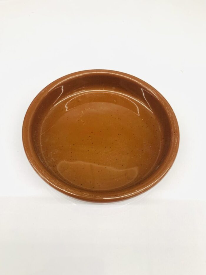 พบคำแนะนำในการเลือกกรงนกที่สมบูรณ์แบบ 7 จานเซรามิคขอบหนาสีน้ำตาล 5นิ้ว (11540)