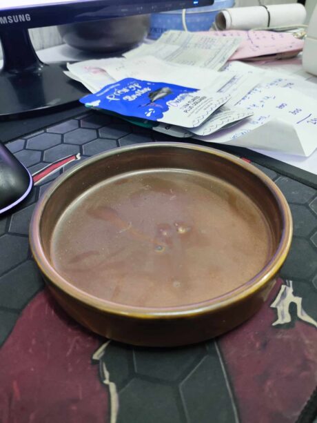 พบคำแนะนำในการเลือกกรงนกที่สมบูรณ์แบบ 8 จานเซรามิคขอบหนาสีน้ำตาลเข้ม 5.5นิ้ว สูง1นิ้ว (11728)