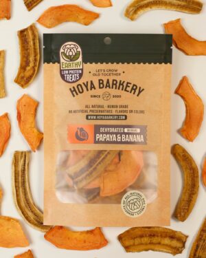 มะละกอและกล้วยอบแห้ง 50g Hoya Barkery Papaya & Banana