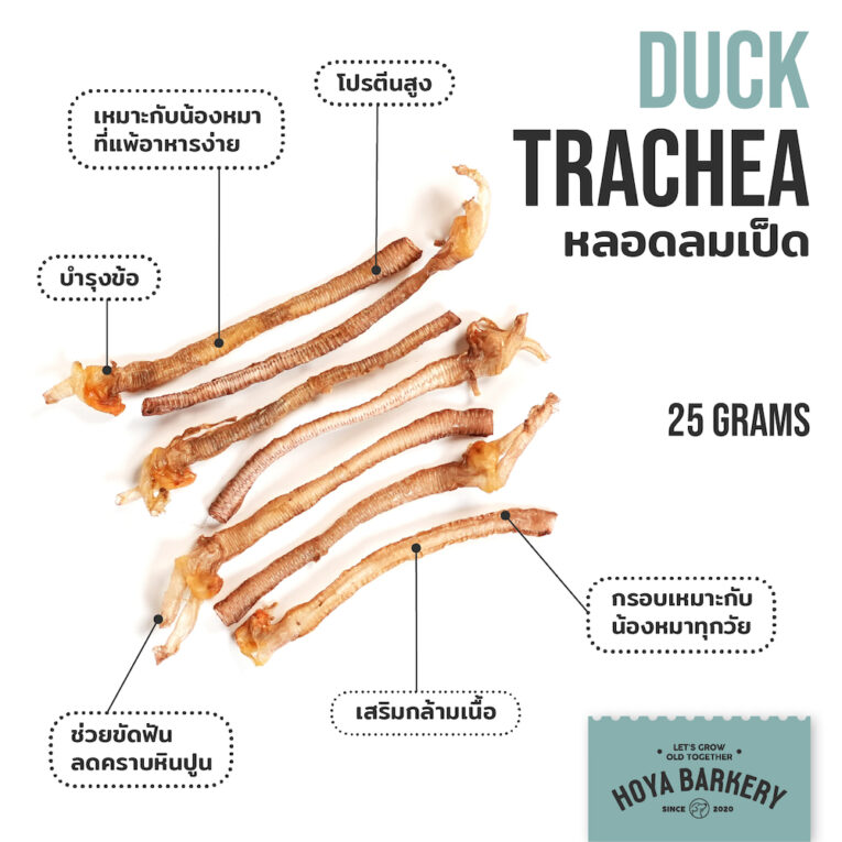 Hoya Barkery Duck Trachea