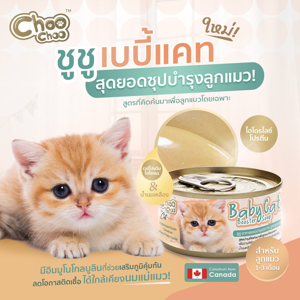 พบคำแนะนำในการเลือกกรงนกที่สมบูรณ์แบบ 10 Choo Choo Baby Cat Booster Soup - ซุปบำรุงลูกแมวอายุ 1-3 เดือนผสมเนื้อปลาทูน่า (12127)