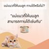 CHOO CHOO BABY 5 Choo Choo Baby Cat Booster Soup - ซุปบำรุงลูกแมวอายุ 1-3 เดือนผสมเนื้อปลาทูน่า (12127)