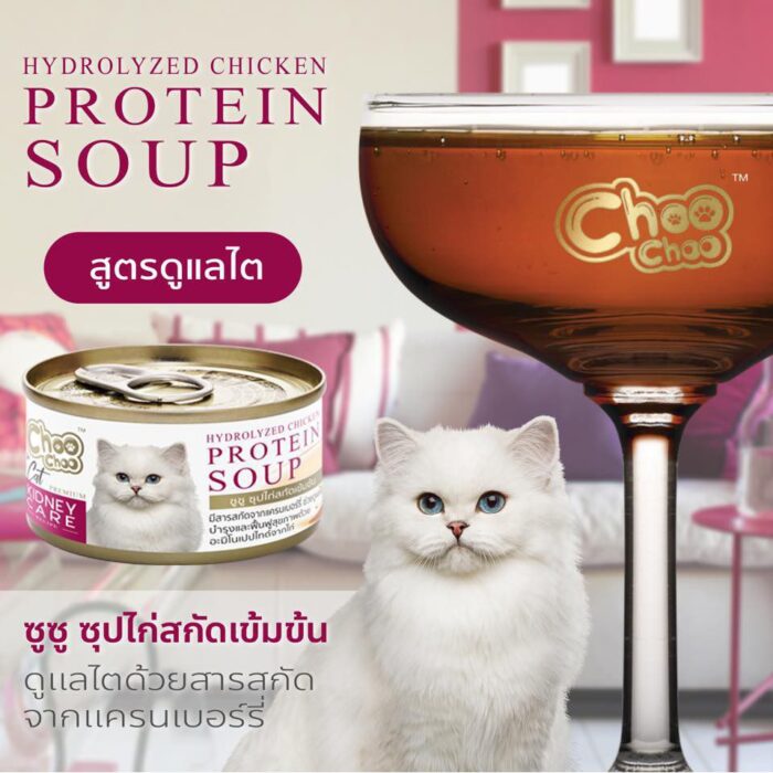 CHOO CHOO HYDRO CHIC Choo Choo Hydrolyzed Chicken Protein Soup - ซุปไก่สกัดเข้มข้นสำหรับแมวที่ต้องการดูแลไต 80g (12357)