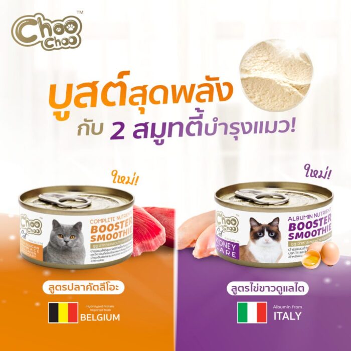 CHOO CHOO SMOOTHIE 1 Choo Choo Complete Nutreint Booster Smoothie - สมูทตี้บำรุงแมวสูตรปลาคัตสึโอะ 80g (12513)