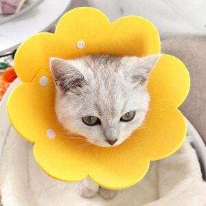 PET COLLAR FLOWER Pet Collar - คอลล่ารูปทรงดอกไม้กันเลียแผล L (13004)
