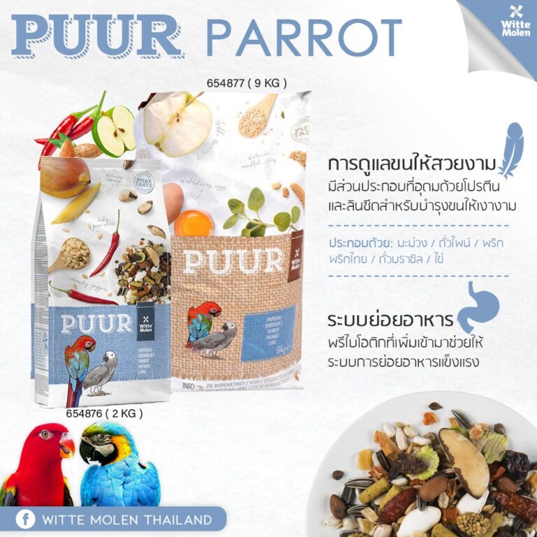 Puur-Parrot-1