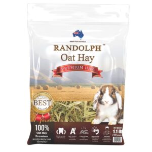 RANDOLPH6 หญ้าโอ๊ตเกรดพรีเมี่ยม