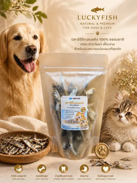 พบคำแนะนำในการเลือกกรงนกที่สมบูรณ์แบบ 8 LUCKY FISH Dried Iriko 100% 50g - ปลาอิริโกะอบแห้ง 50 กรัม