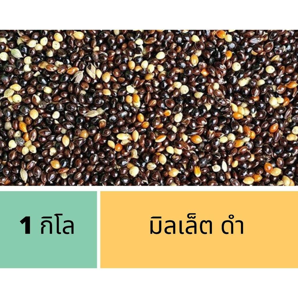 U.LEK Black Millet 25kg (RPK) - มิลเล็ตดำ 25 กก. (13321)