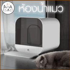 Cat Toilet - ห้องน้ำแมว สไตล์โมเดิร์น ดีไซน์มินิมอล (41x41.2x43cm)