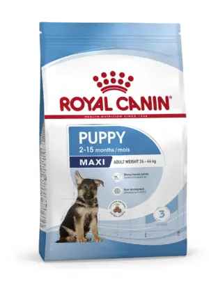 royal canin maxi puppy 1 kg Royal Canin Maxi Puppy 2-15 Month 1Kg - อาหารสำหรับลูกสุนัข พันธุ์ใหญ่ อายุ 2-15 เดือน 1Kg (12581)