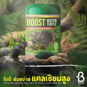 อาหารเต่าน้ำ 12540 Boost Water Turtle - อาหารเต่าน้ำแบบเม็ด 40g