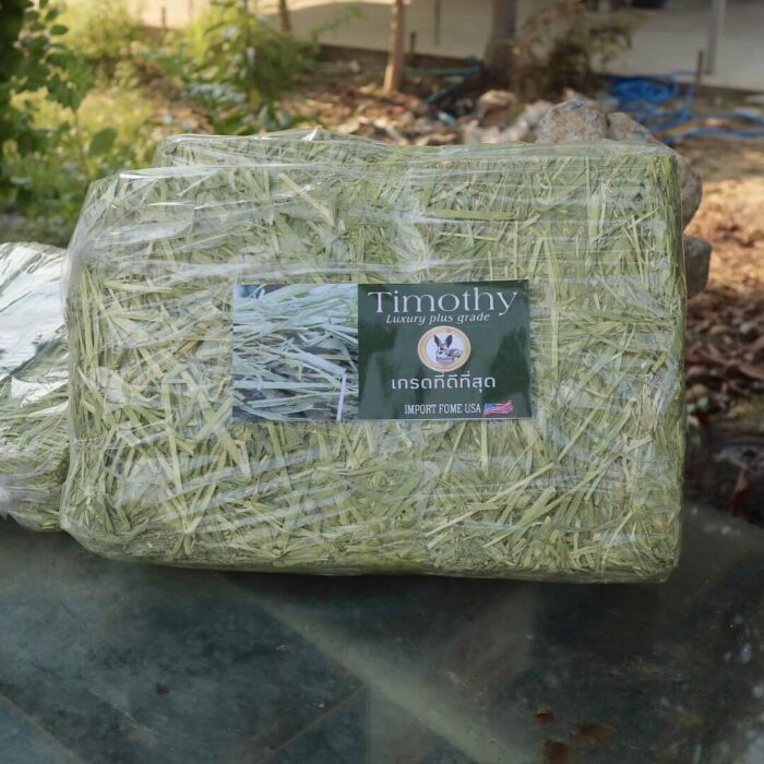 465287904_520551714082553_5435997099277633177_n Timothy Hay Luxury Plus Grade USA - หญ้าทิโมธีเกรดลักชัวรี่พลัส